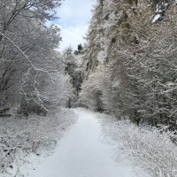 Foto: Weiherbusch (zwischen Mayen und Polch) im Winter 2018