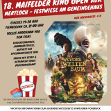 18. Maifelder Open Air-1