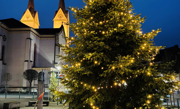 Weihnachtsbaum 2026 f&uuml;r den Polcher Marktplatz gesucht