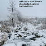 Weihnachtsgruß 2022